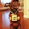 UPS delivery dog costume